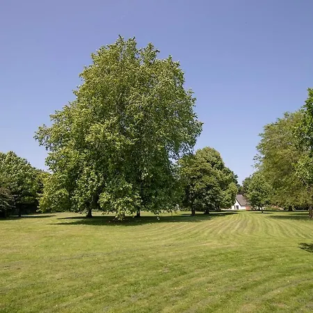 Ham - Luxury In The Betuwe * Kerk-Avezaath (Gelderland)