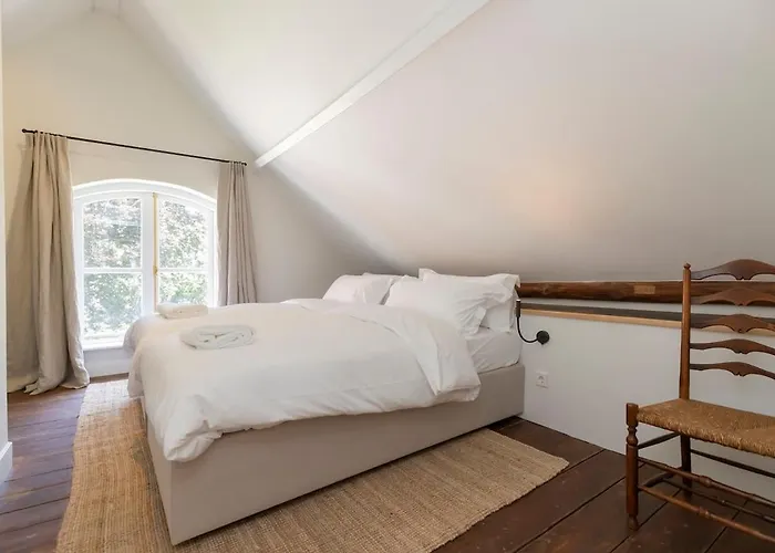 Huis Ten Ham - Luxury Country House In The Betuwe Villa