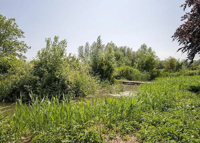 Huis Ten Ham - Luxury Country House In The Betuwe Villa Kerk-Avezaath (Gelderland)