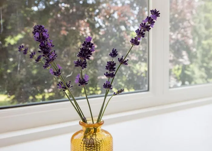 Villa Huis Ten Ham - Luxury Country House In The Betuwe *